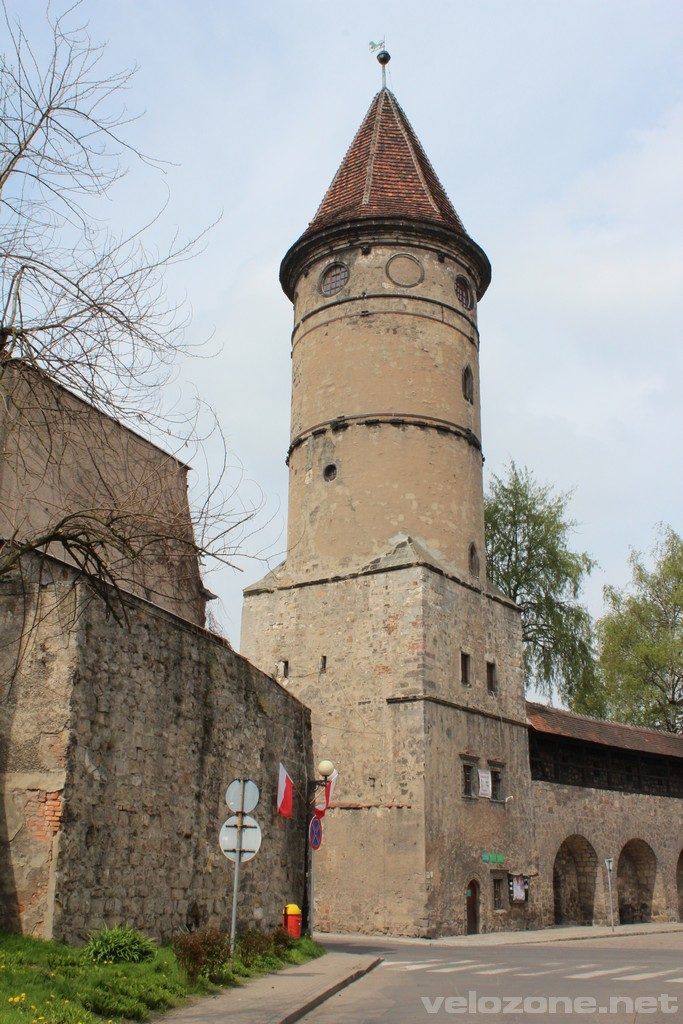 lwówek ślaski